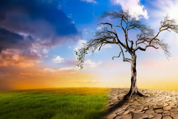 Climate Change Effectc