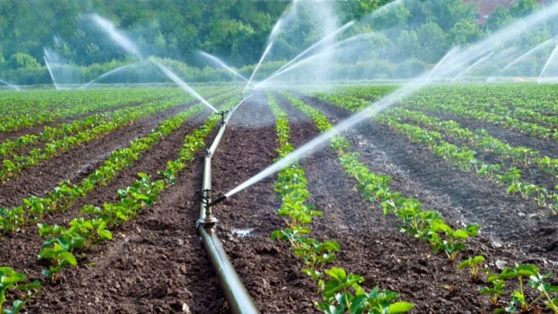 Rural Farming in Kenya