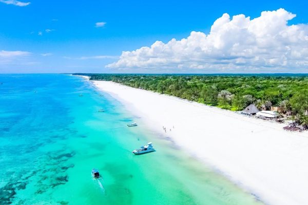 Diani Beach Safari - Trendblend Hub