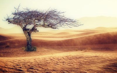 Combating Climate Change