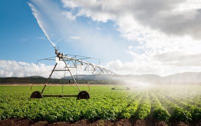 Automated Irrigation