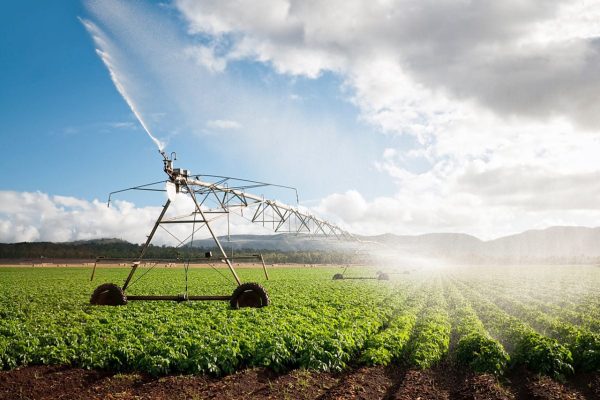 Automated Irrigation