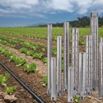 Stainless Steel Borehole Pumps & Motors