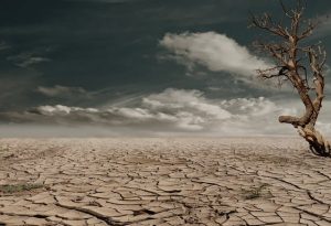 Kenya’s Role in Combating Climate Change