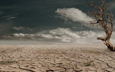 Kenya’s Role in Combating Climate Change