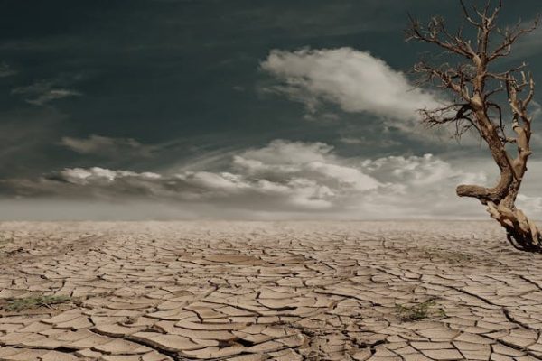Kenya’s Role in Combating Climate Change
