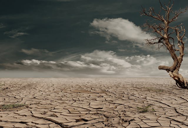 Kenya’s Role in Combating Climate Change