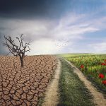 Second Africa Climate Summit