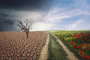 Second Africa Climate Summit