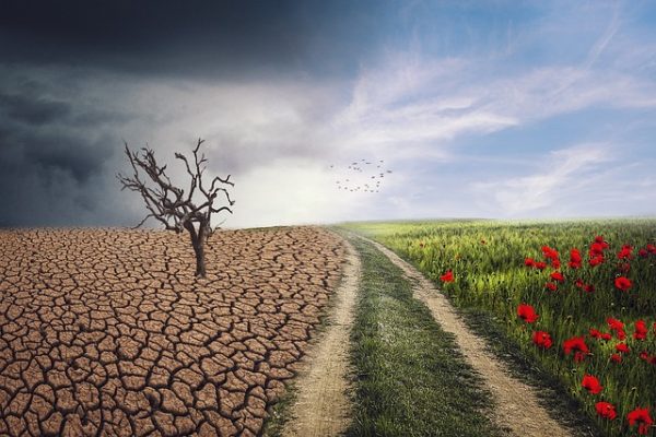 Second Africa Climate Summit